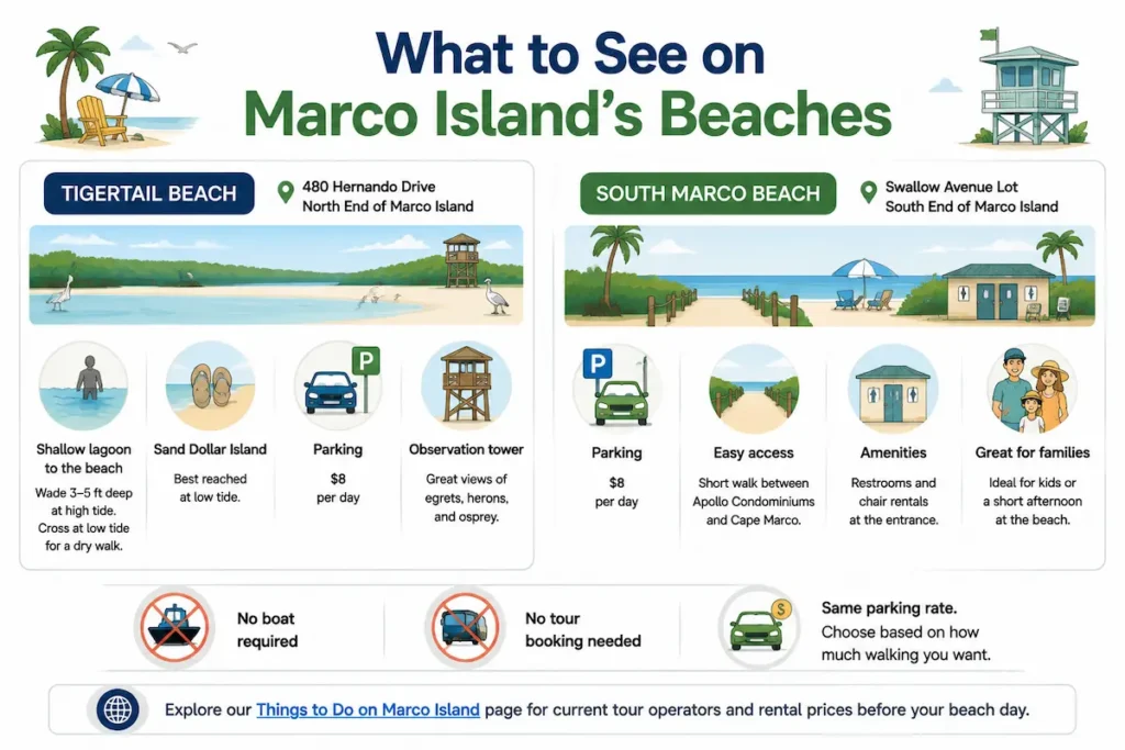 What to See on Marco Island's Beaches